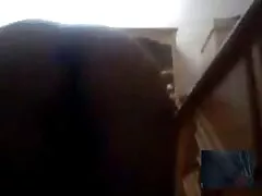 בלונדינית סרטי פורנו לצפיה ישירה חינם פומה נותנת ראש ושבץ