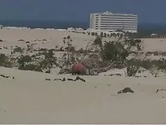 נער מוצק גוף קילי ג'ונס מקבל פירוק סרטי סקס צפיה ישירה כוס בחלק האחורי של הטנדר של זר